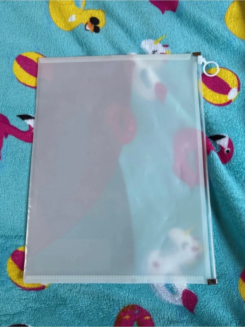 Clear Vinyl Document Pouch